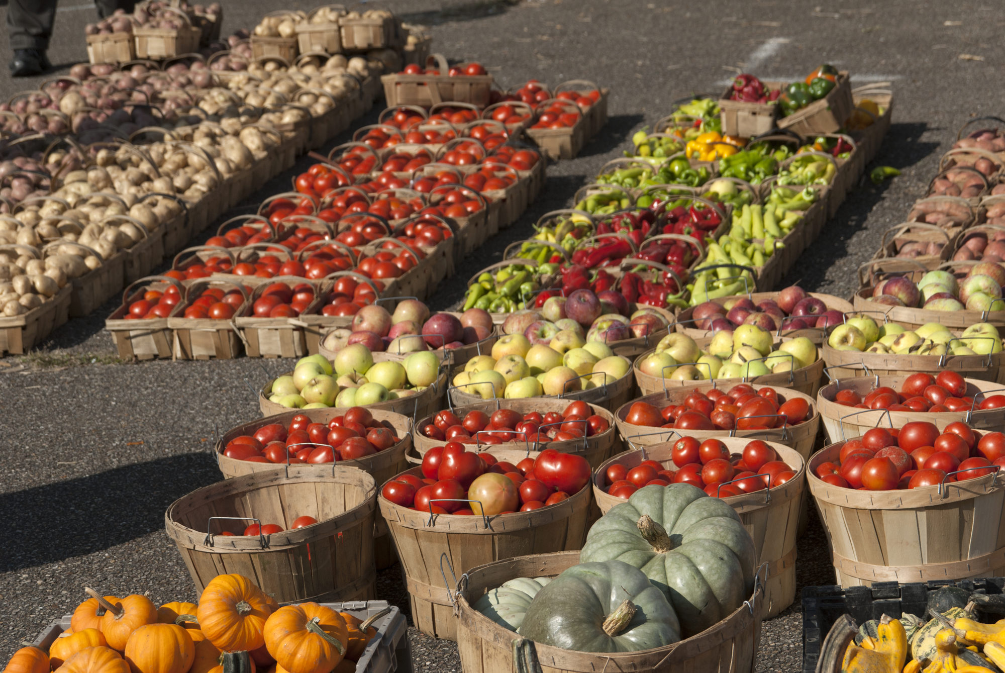 farm-vitality-planning-grant-southwestern-pennsylvania-commission